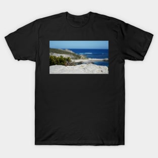 Rottnest 7 T-Shirt